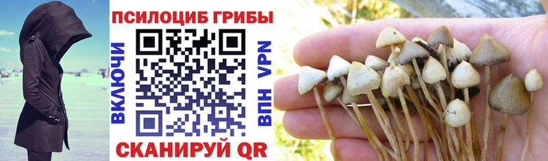 Галлюциногенные грибы GOLDEN TEACHER  Пласт 